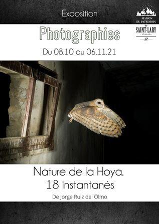 Expo - Pyrénées Lumineuses