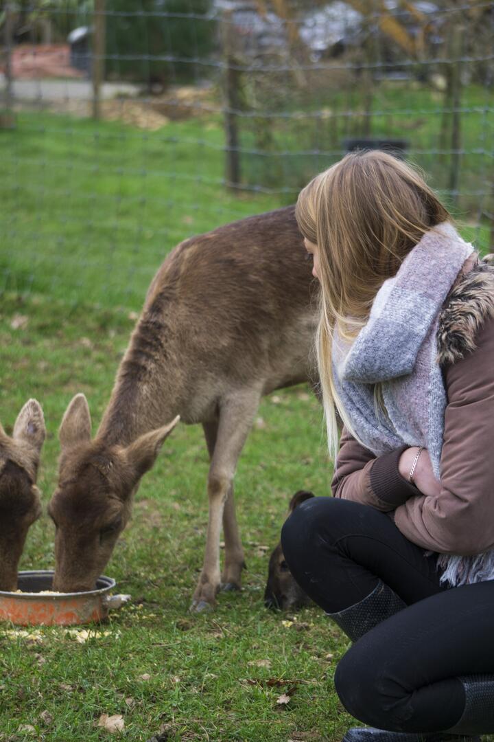 Ferme Trencalli à Castelnau Rivière-Basse
