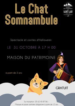 Le Chat Somnambule
