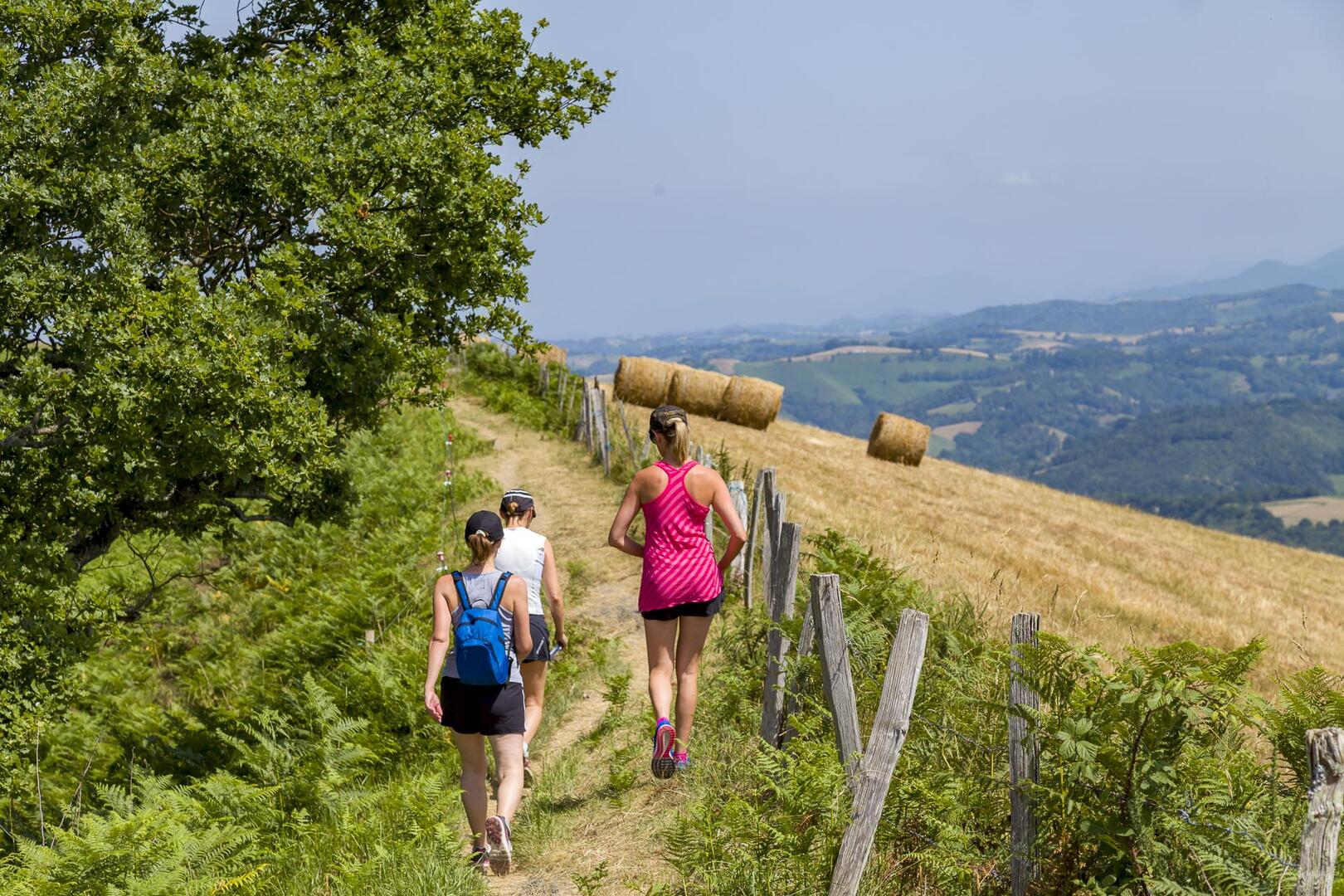 Marcheurs sentier_BD©P. Vincent-OT Lourdes_2015