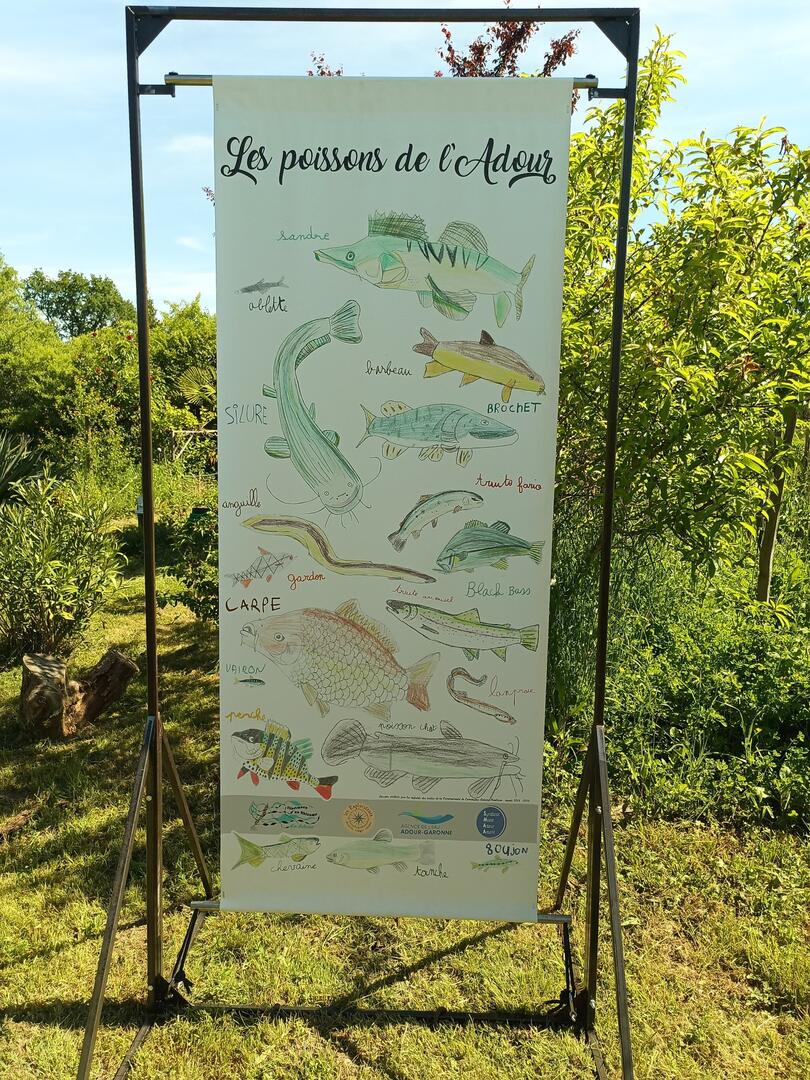 Marciac jardin 05-13