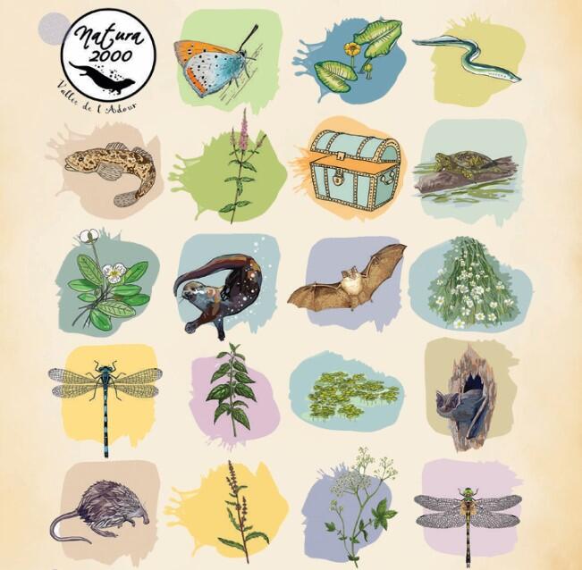 Natura 2000 expo