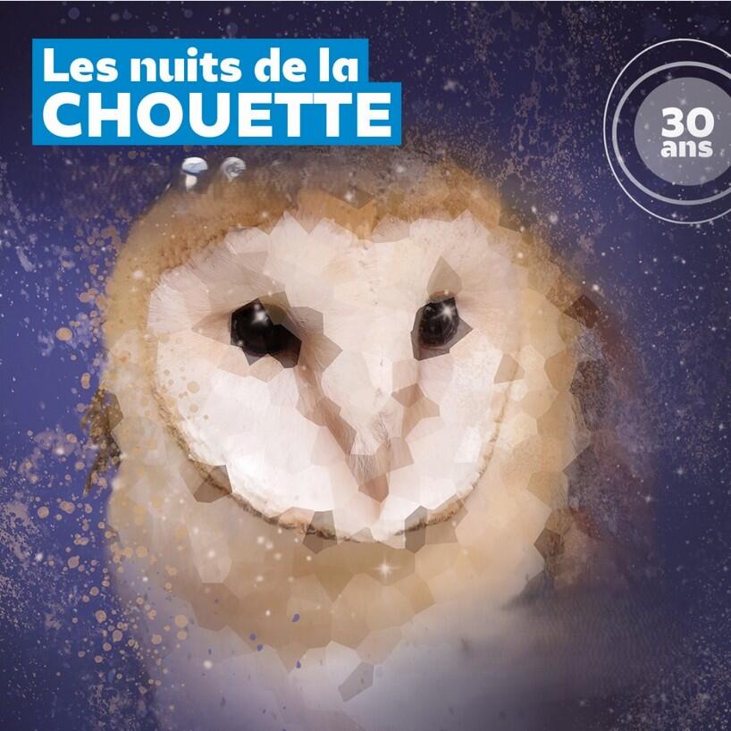 Nuit de la chouette février-mars