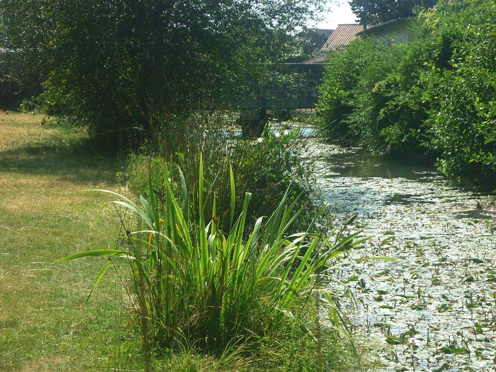 Canal Riscle©CSO