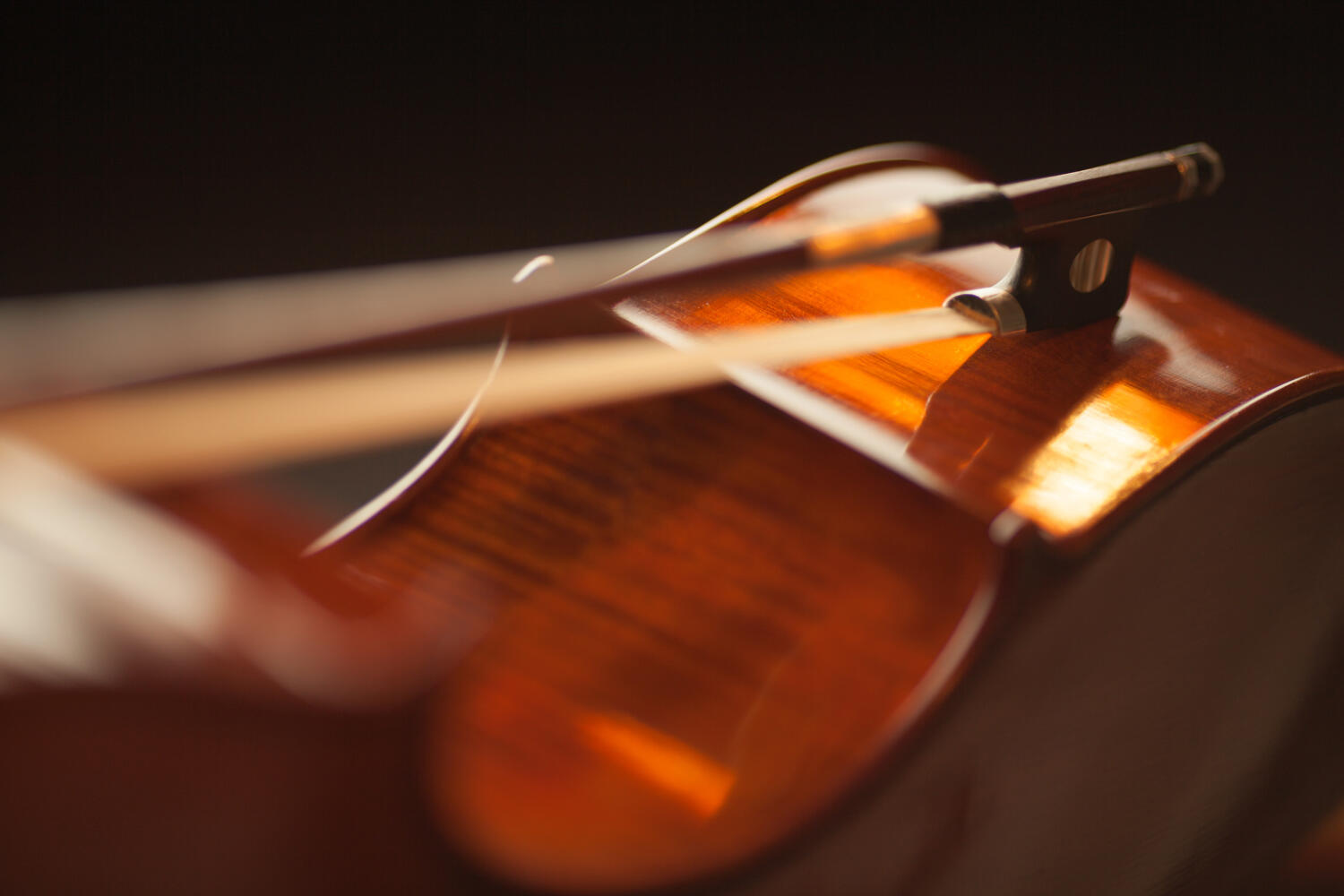 Violon en cèdre © Méline Waxx on Pexels