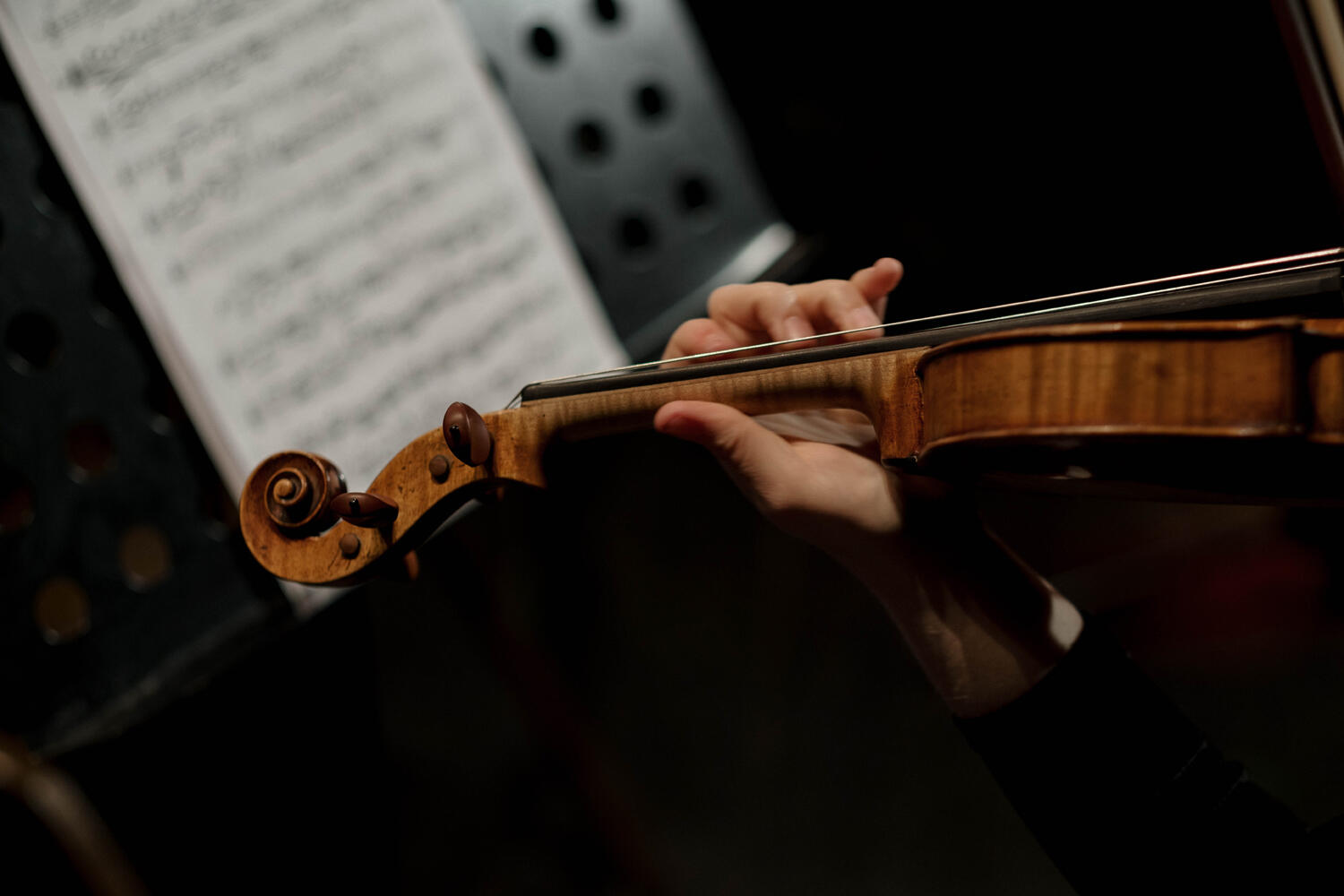 Violon main partition © Cottonbro on Pexels