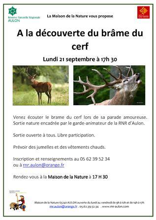 affiche_Brame du cerf