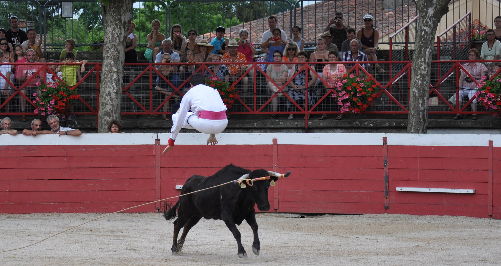 Course landaise