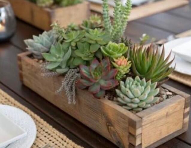 plante zen atelier floral © l'art et la Manière