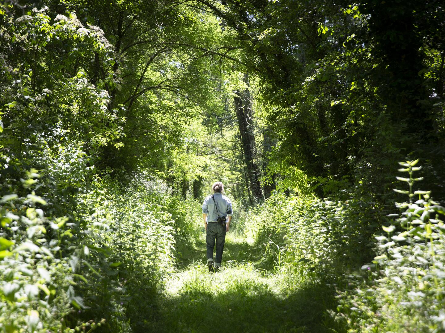 Maison de l'eau Jû Belloc©pmeyer