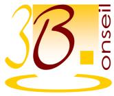 3 b conseil
