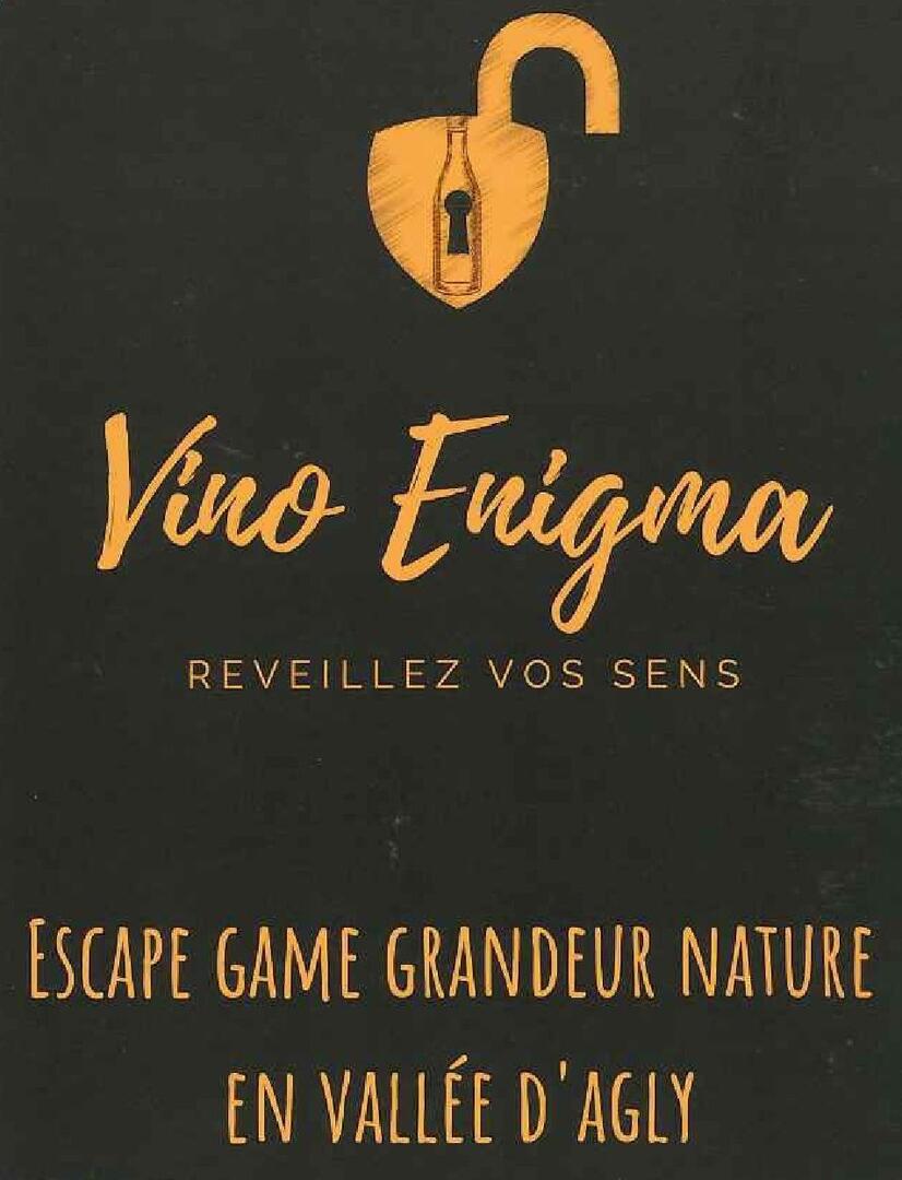 vino énigma