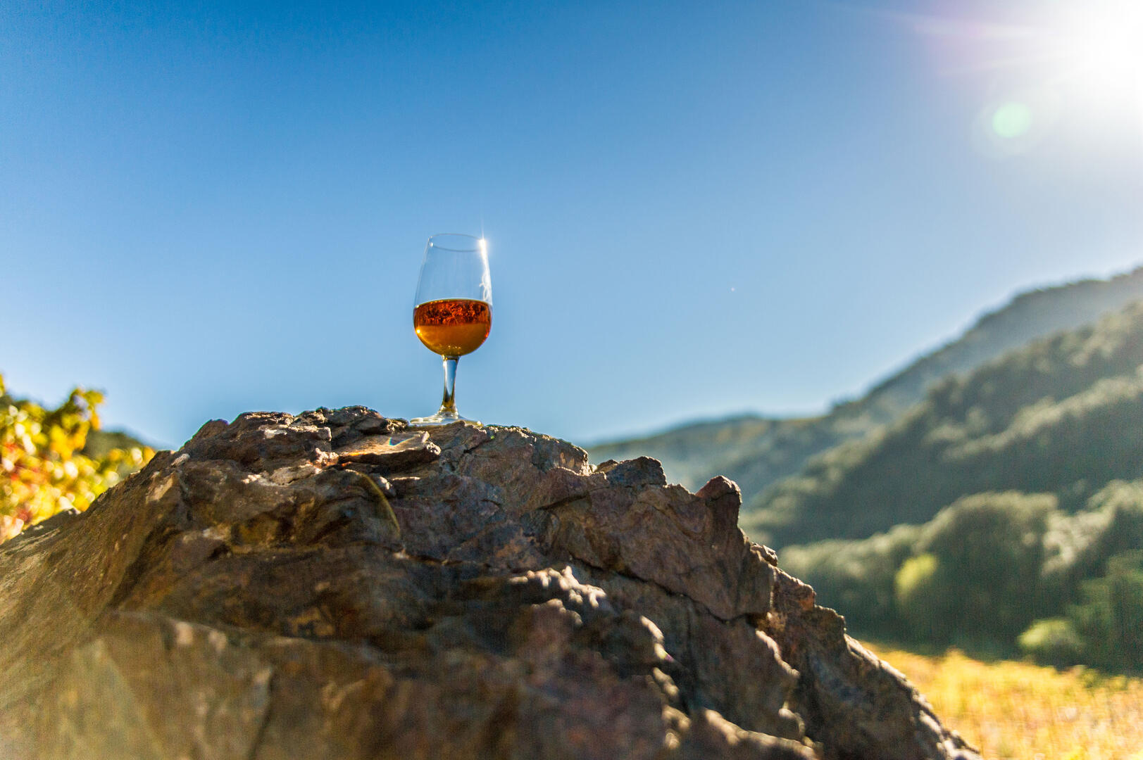 (66) Pyrénées-Orientales Banyuls sur Mer en automne