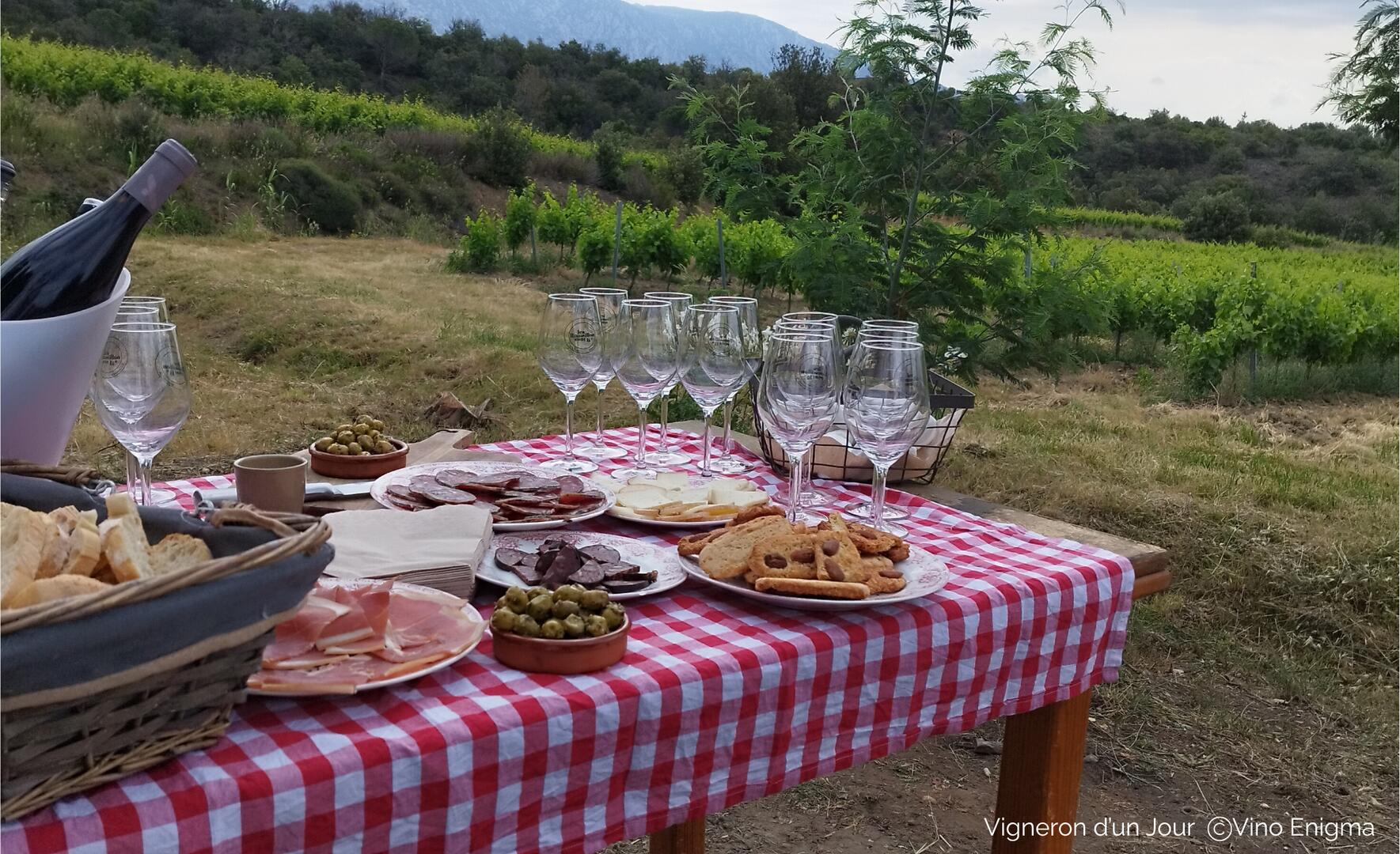 Repas dans les vignes