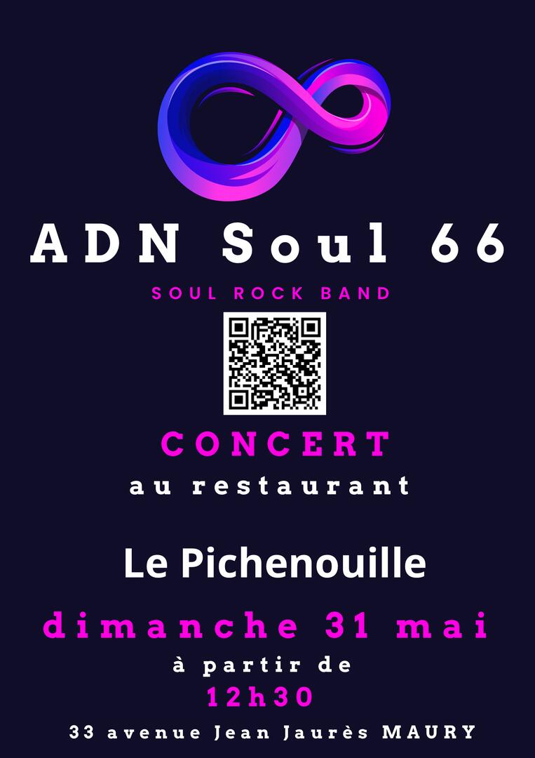 ADN SOUL 66 - en concert au Pichenouille MAURY 31-05-2026