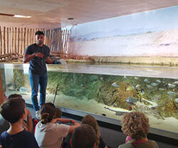BIODIV_nourrissage2