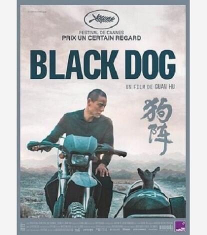 BLACK DOG