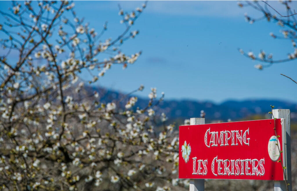 Camping cerisiers Céret