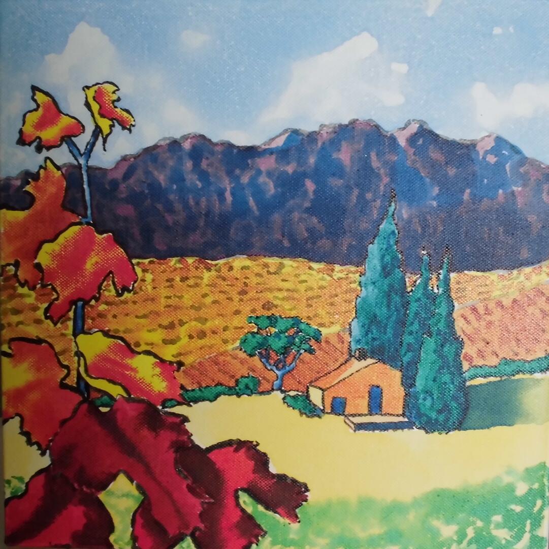 Caudiès beaux-arts et bricolage 035