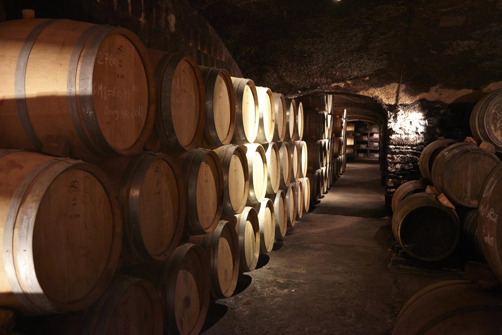 Cave souterraine élevage barriques