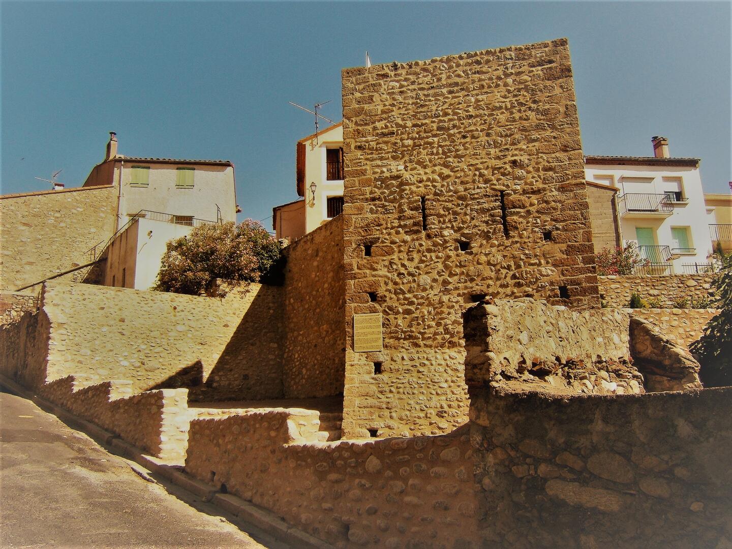 DSCF0175