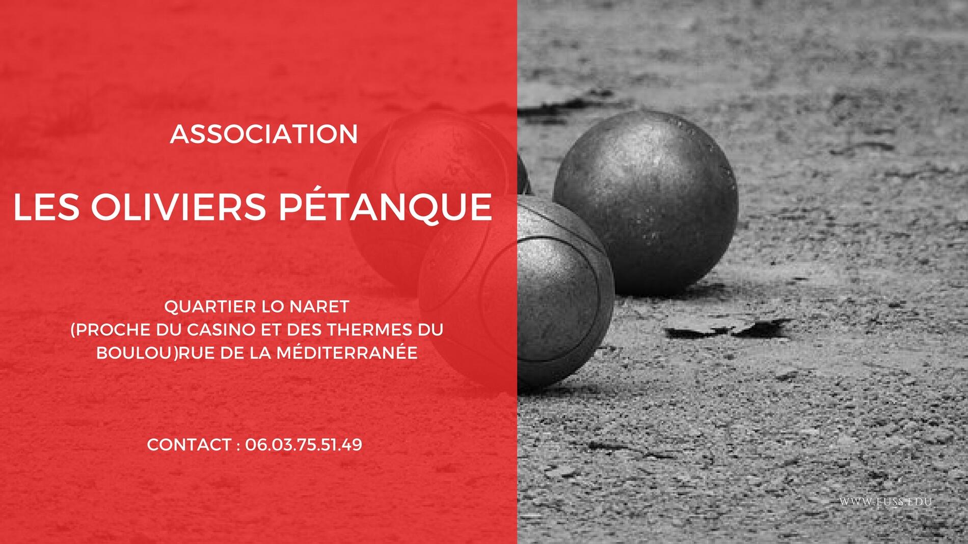 Les oliviers pétanque