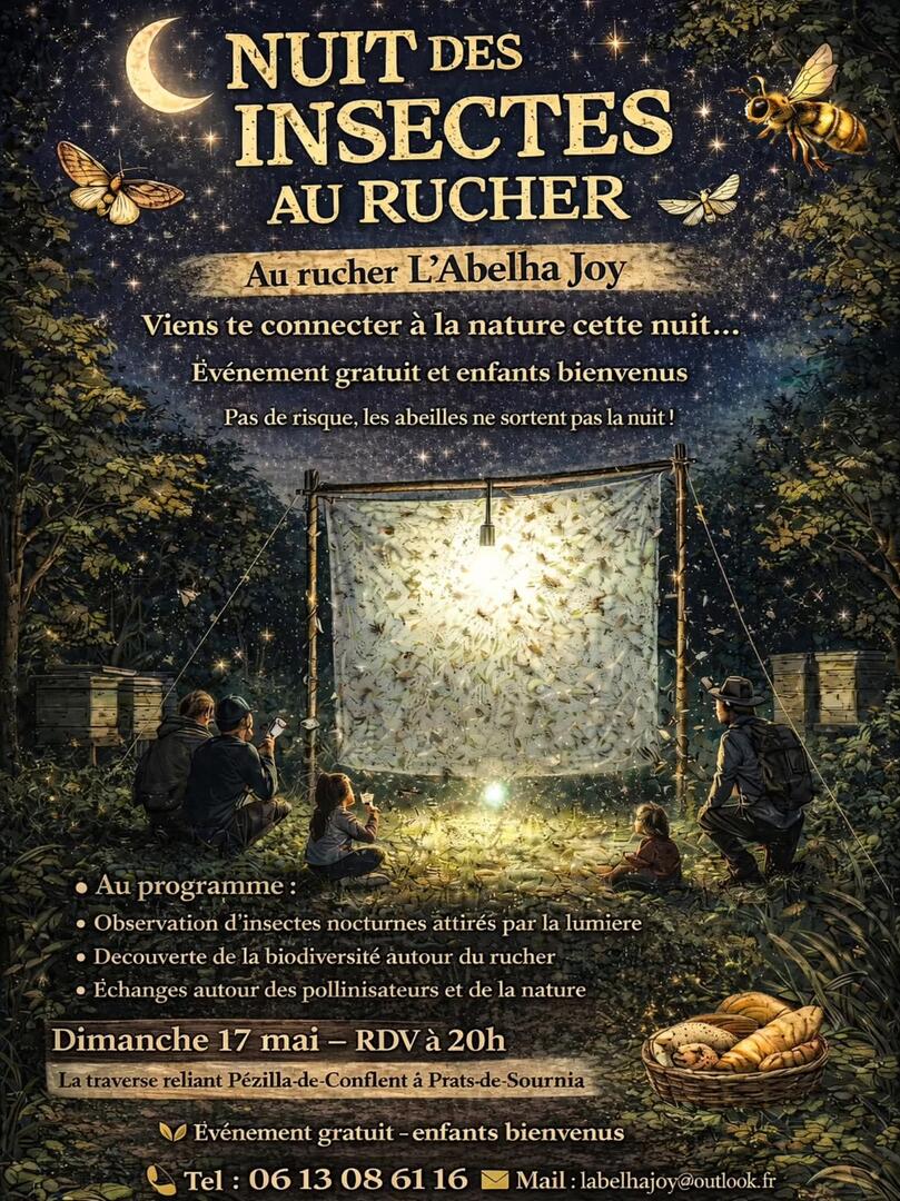 NUIT DES INSECTES AU RUCHER -