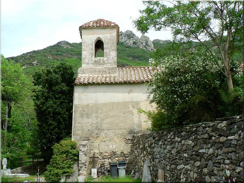 SAINT JEAN D'ALBERE - L'ALBERE