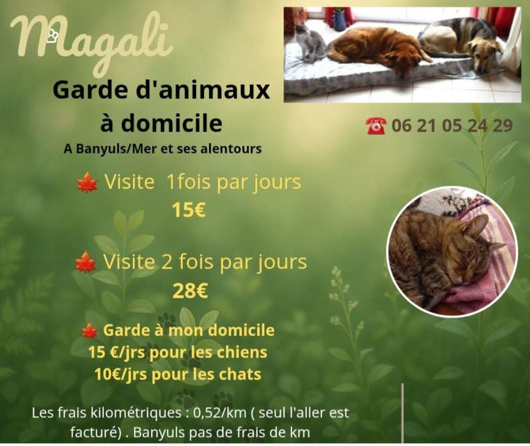 Garde d'animaux