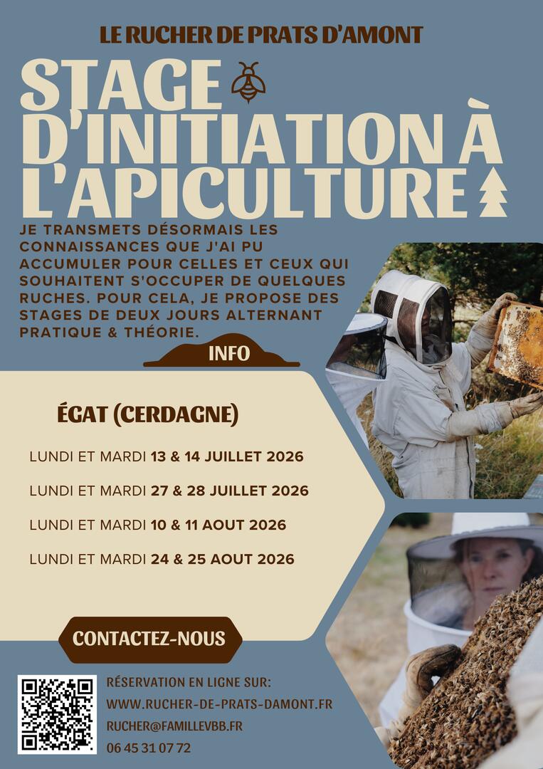 Affiche- voyage au coeur de la ruche - 5