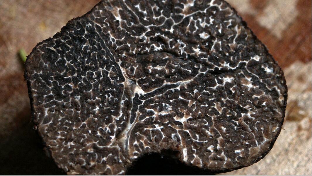 Truffes Canva