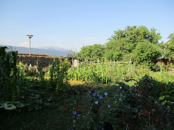 Visite jardins