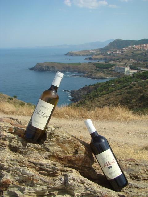 boutielle_vin_domaine_tambour_edit