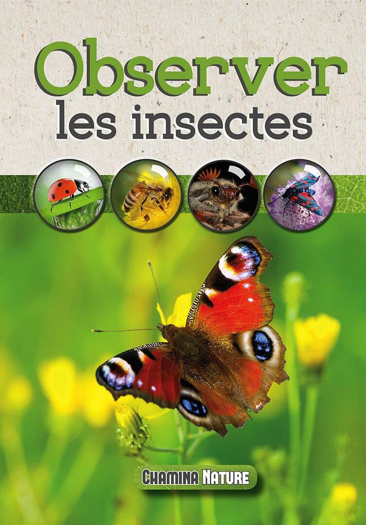 observation des insectes - édition chamina