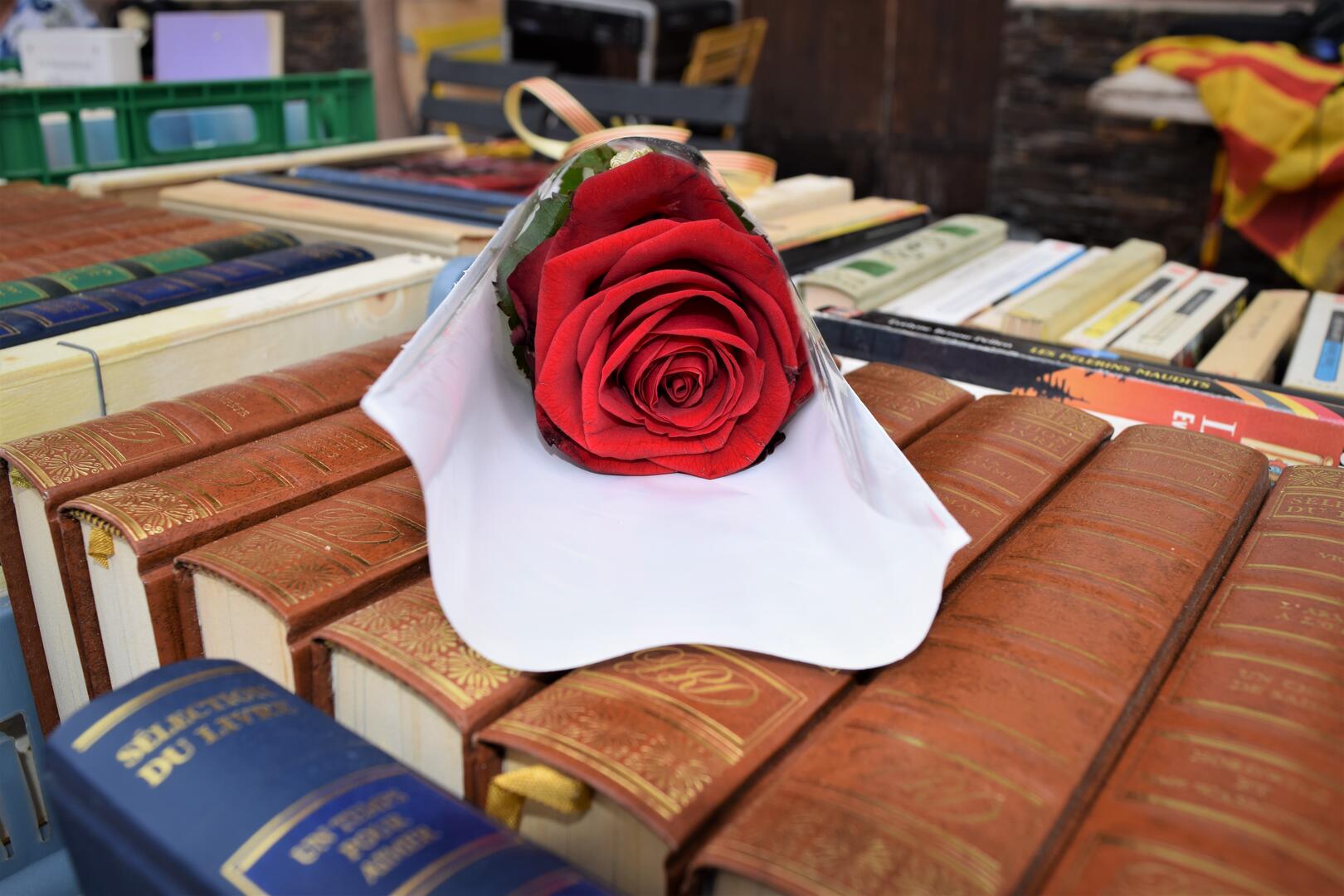sant jordi