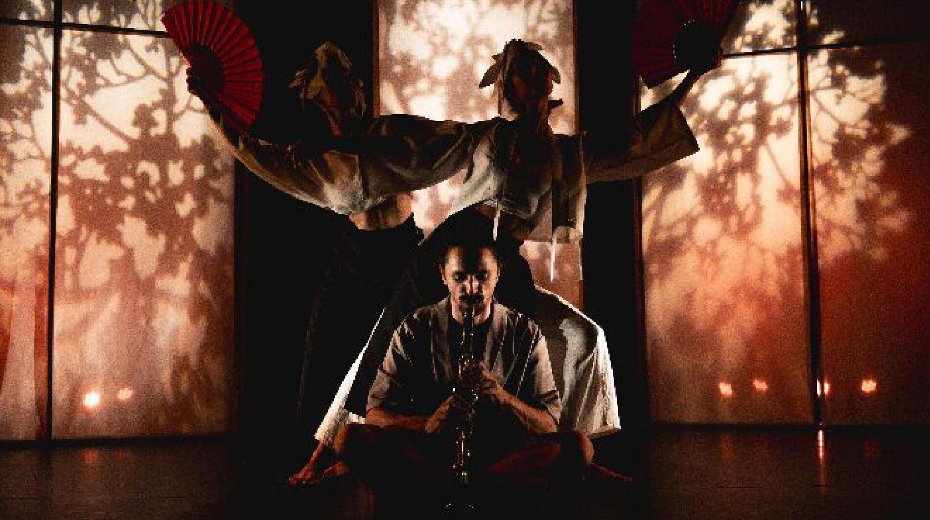 spectacle HANABI - LE VIVIER -28-12-2025