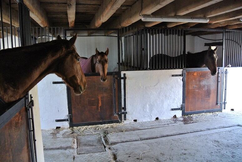 ©Domaine Danalou