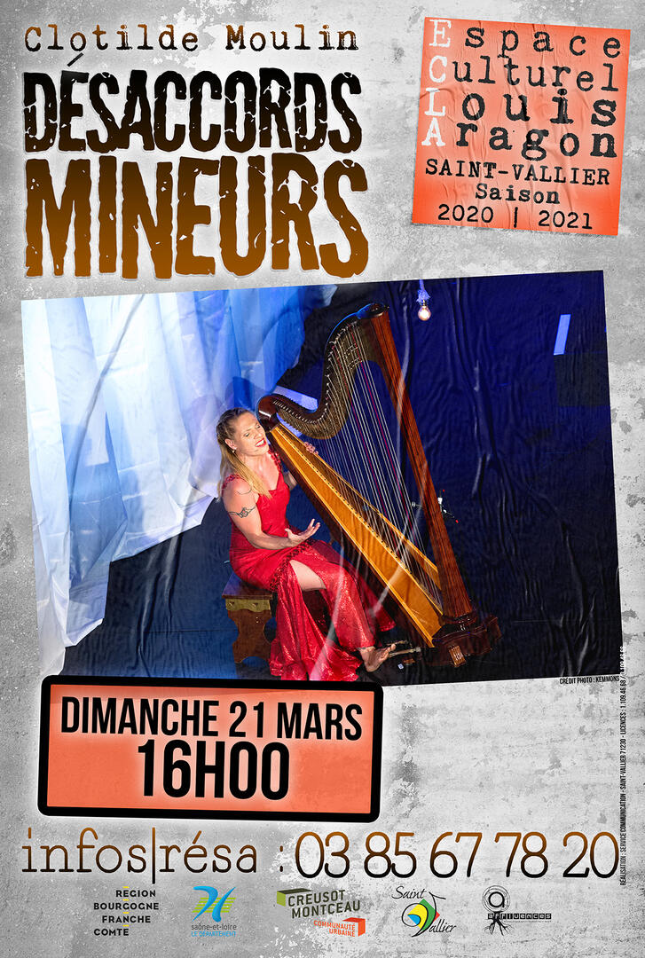 Affiche Désaccords mineurs