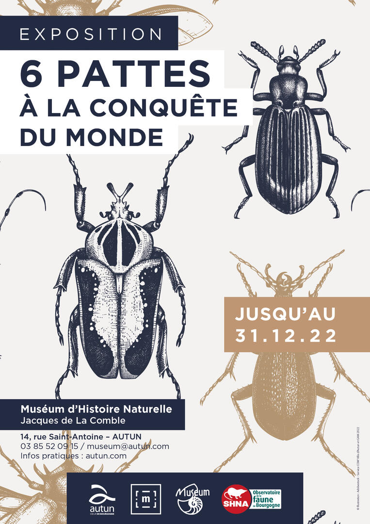 Affiche expo insectes 2022-2