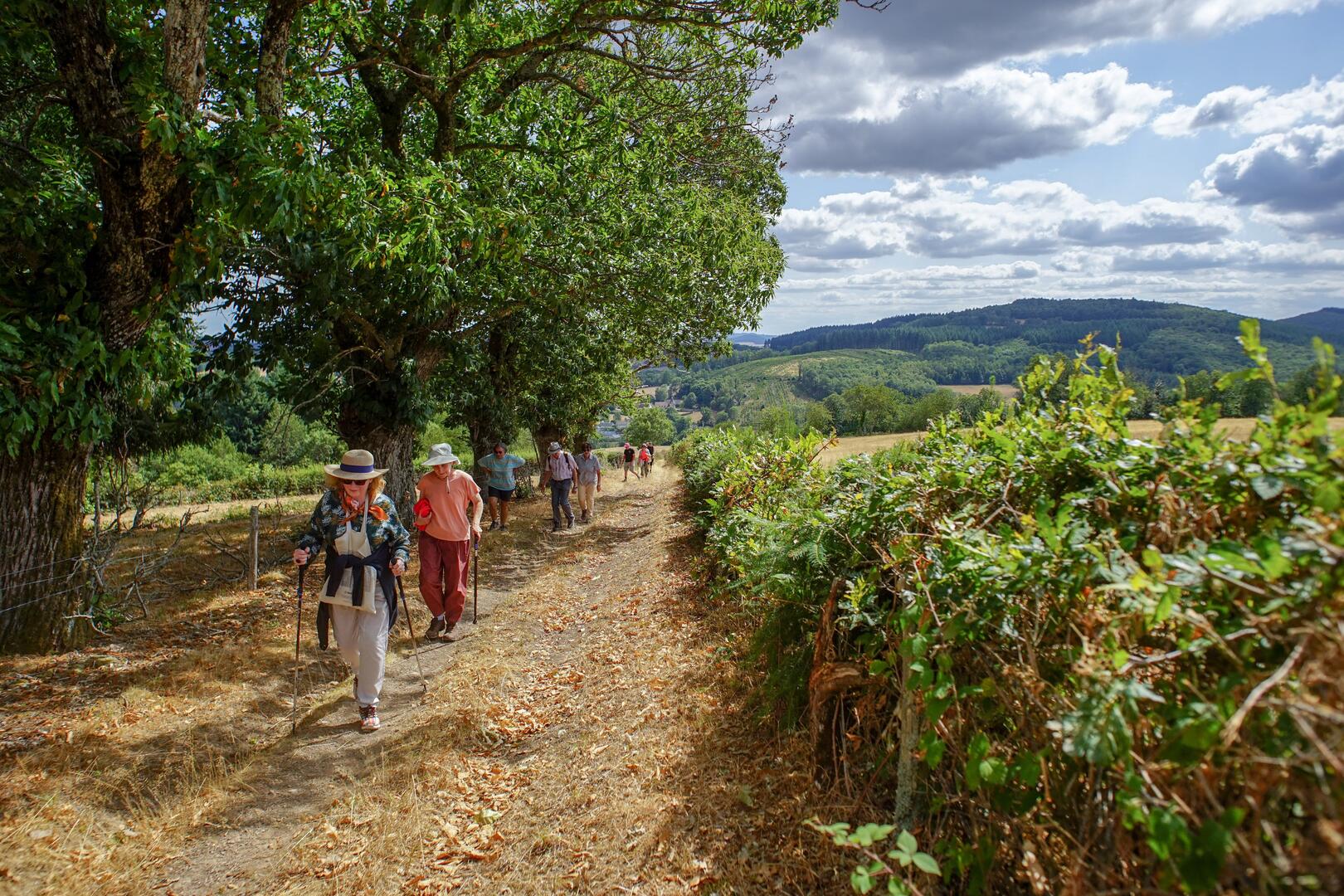 Photographies Office de tourisme du Grand Autunois Morvan © Aurélie Stapf, photographe