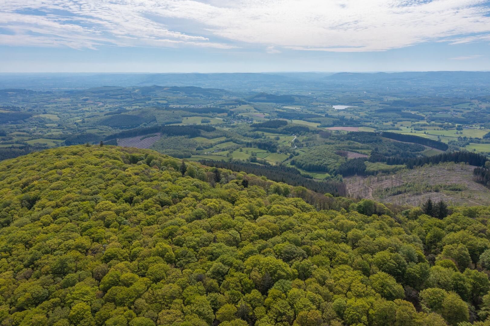 DJI_0915