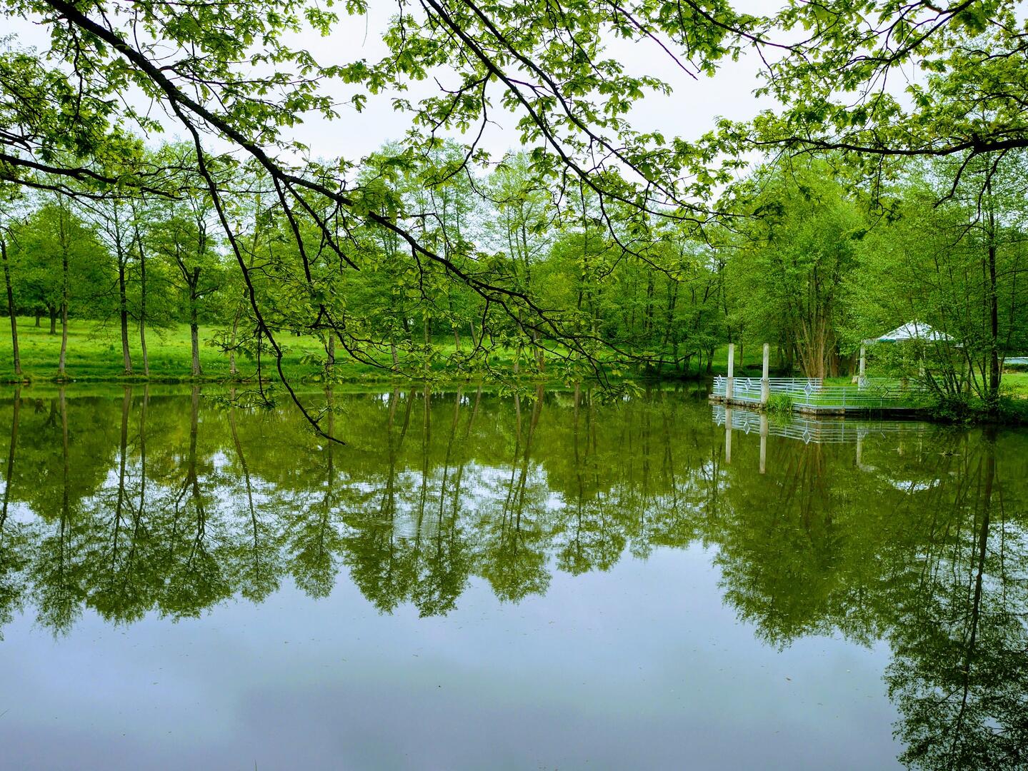Etang des Mirauds
