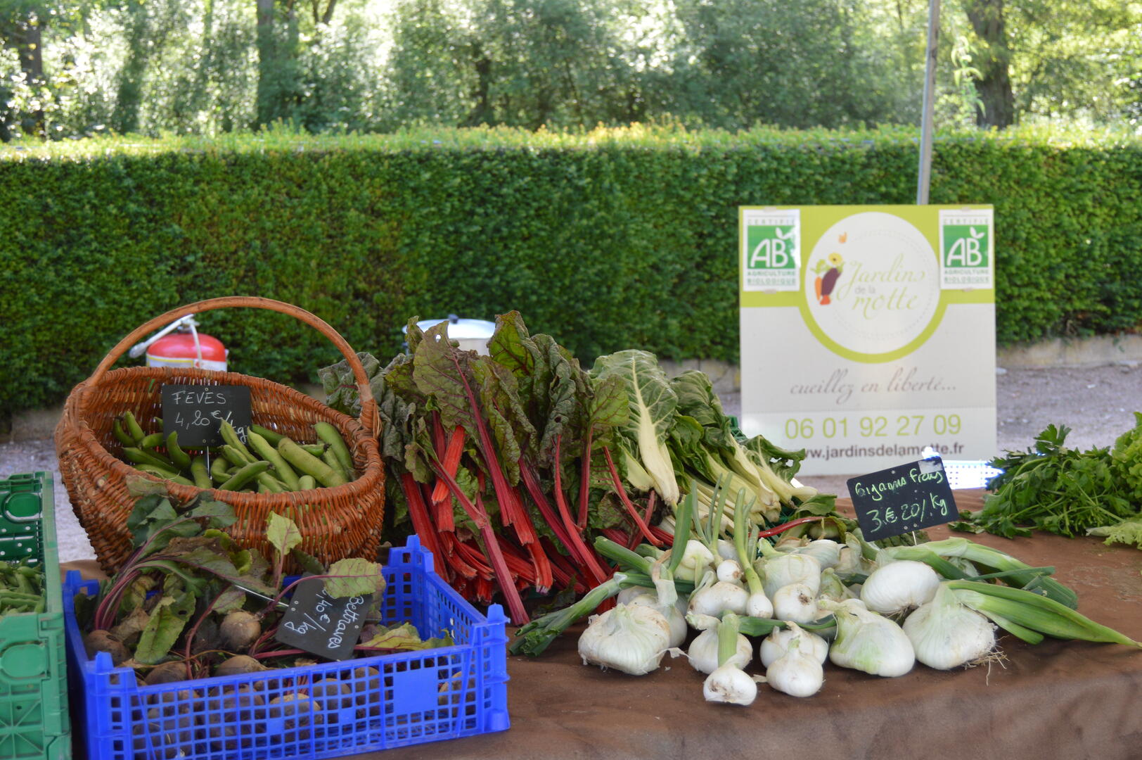 MPP_Festif_marché_producteurs_LeBreuil©CMT (143)