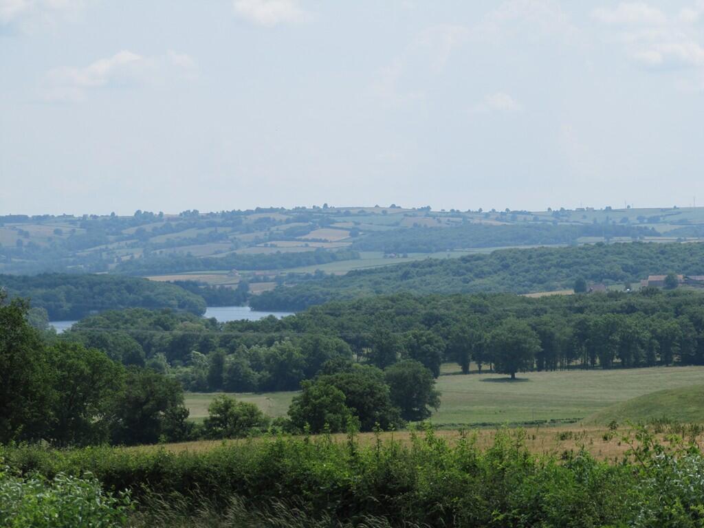 Vue lac et forêt