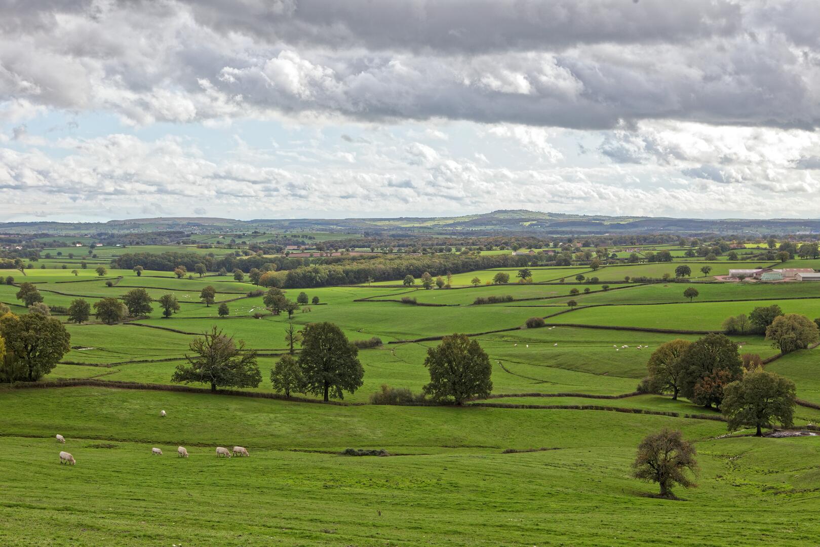 Paysage de bocage