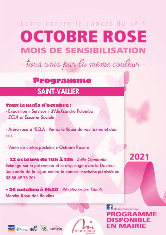 octobre-rose-affiche-