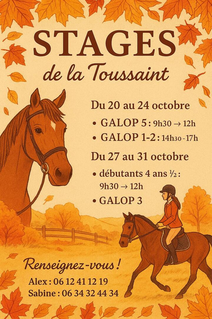 561034260_1458027082421060_1692169735503713101_n