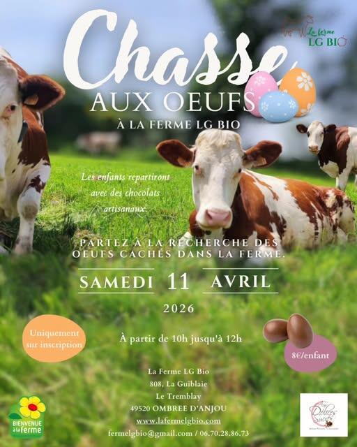 Chasse_aux_œufs-49-FMA-photo1