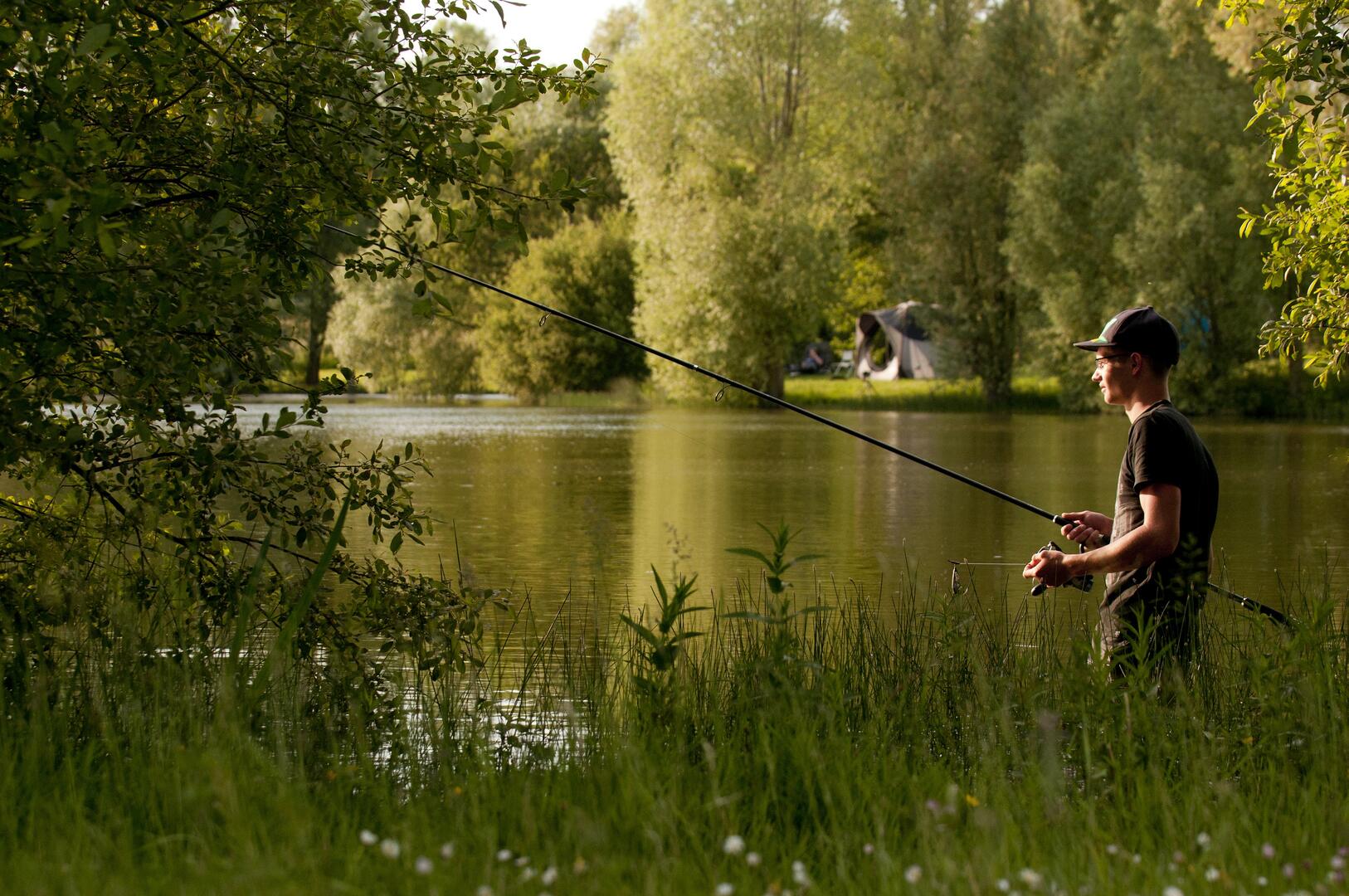 Pêche de la carpe