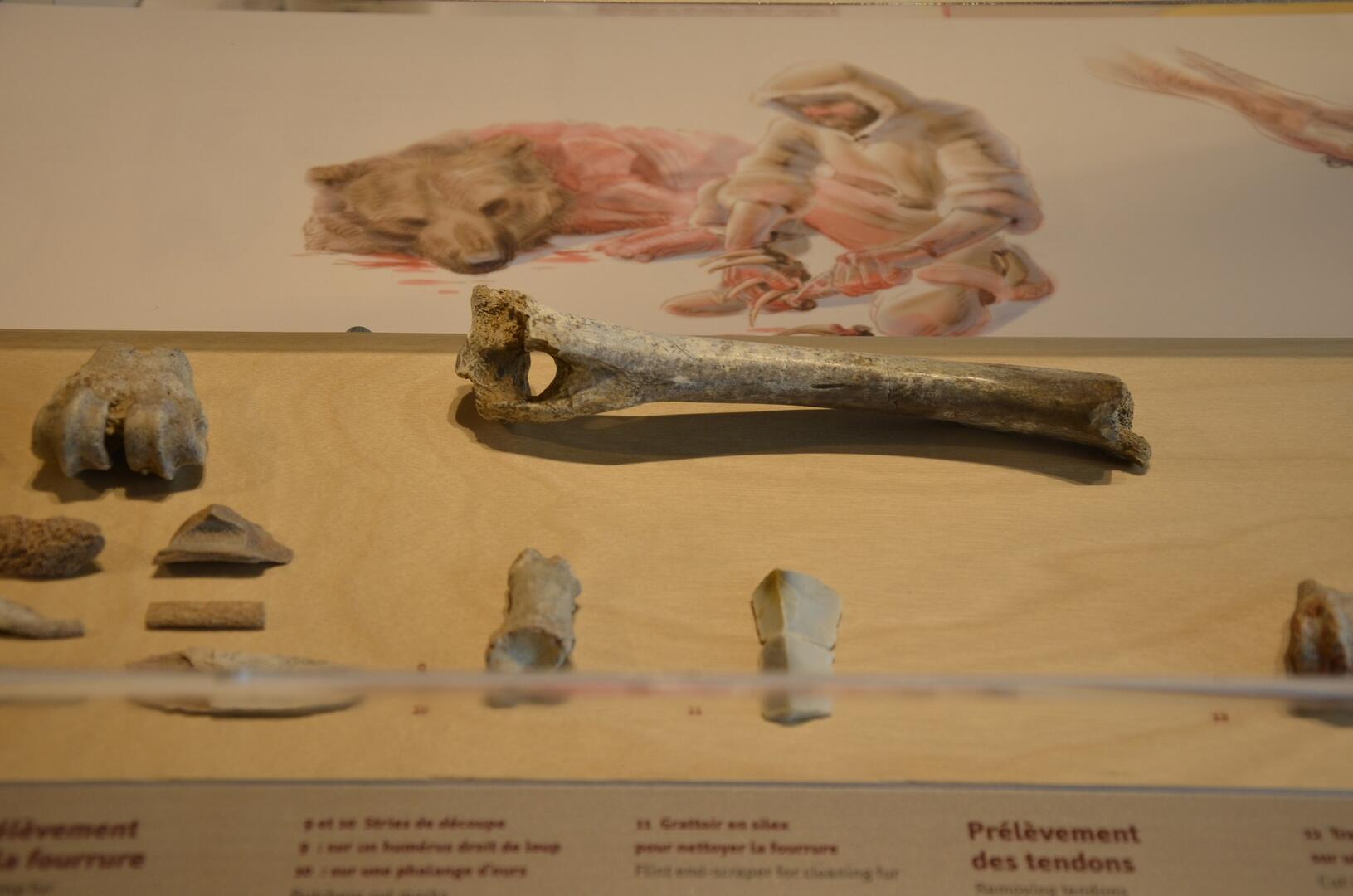 Musée de Préhistoire - Nourriture préhistoire